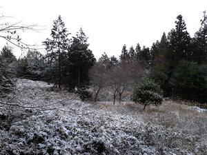 20111209c.jpg