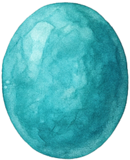 12月ターコイズ